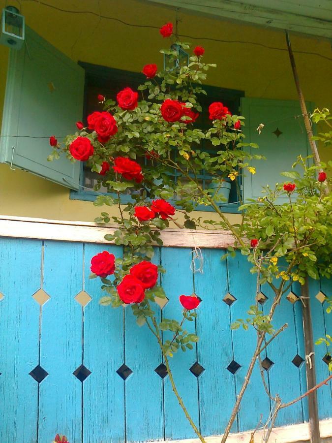 Podvrh  Blue Cottage المظهر الخارجي الصورة